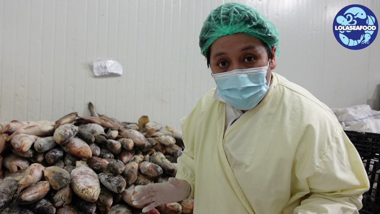 How Fish Raw material kept at our cold storage facilities